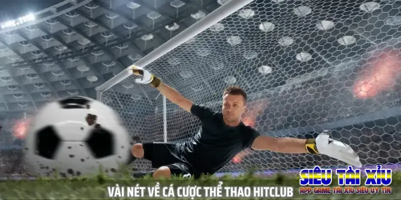 ca-cuoc-the-thao-hitclub-chuyen-nghiep